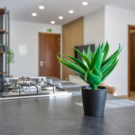 Apartmán Designer 2br In The Centre Of Marsascala By 360 Estates *